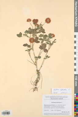 KPABG014999