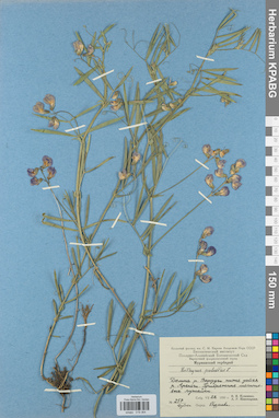 KPABG019364