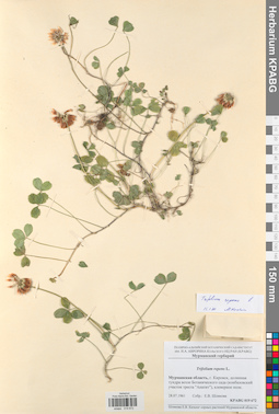 KPABG019672