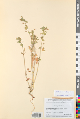 KPABG019675