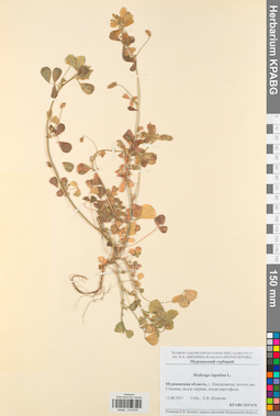 KPABG019676