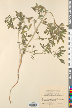 KPABG029754