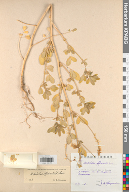 KPABG029755