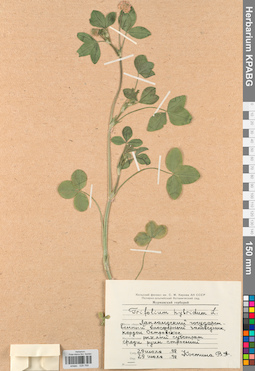 KPABG029769