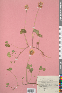 KPABG029804