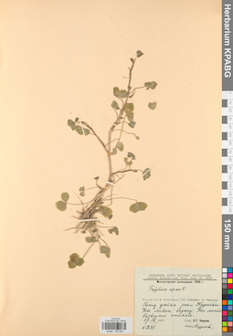 KPABG029822