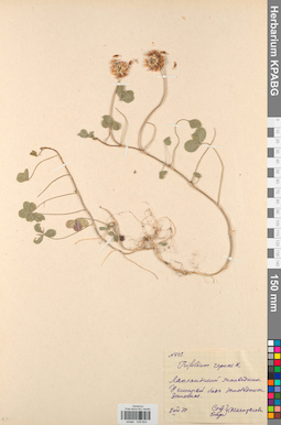 KPABG029824