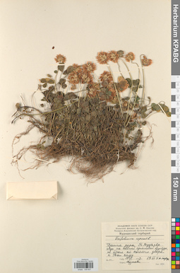 KPABG029827
