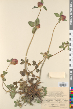 KPABG029858