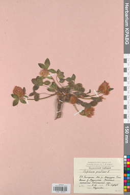 KPABG029873