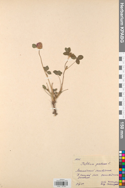 KPABG029887