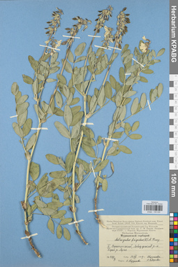 KPABG030029