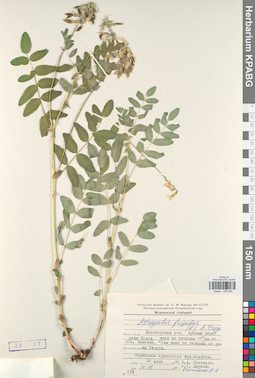 KPABG030046