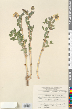 KPABG030050