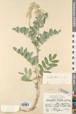 KPABG030052