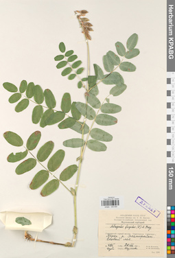 KPABG030059