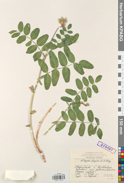 KPABG030061