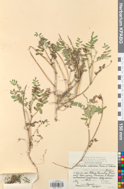 KPABG030075
