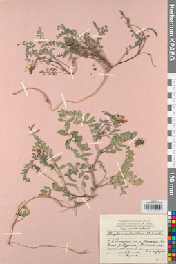 KPABG030079
