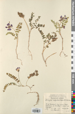 KPABG030086