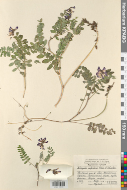 KPABG030093