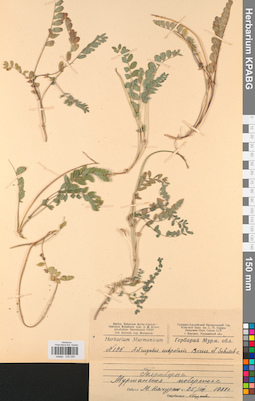KPABG030095