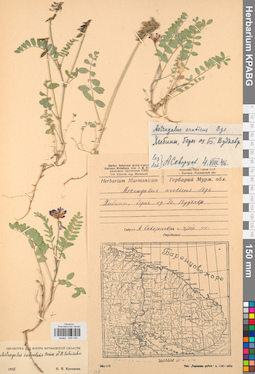 KPABG030105