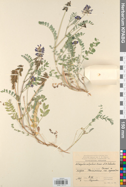 KPABG030111