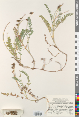 KPABG030134