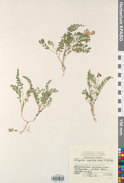 KPABG030138