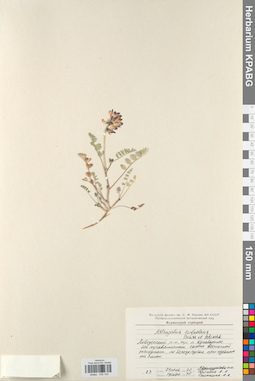 KPABG030145