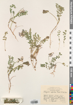 KPABG030150