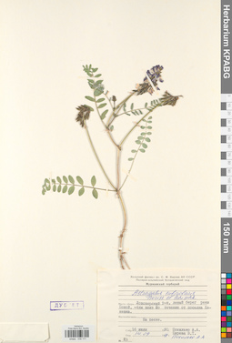 KPABG030171