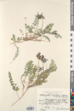 KPABG030175