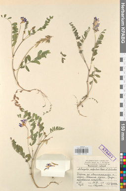 KPABG030178
