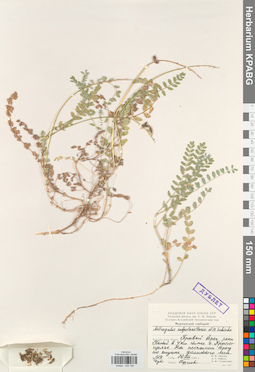 KPABG030180