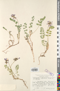 KPABG030182