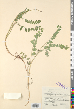 KPABG030183