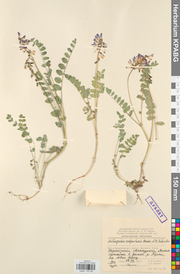 KPABG030186