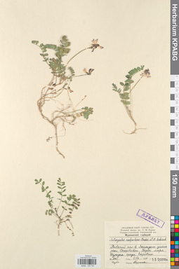 KPABG030192