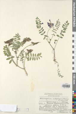KPABG030193