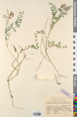 KPABG030194