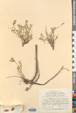 KPABG030205