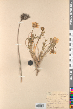 KPABG030215