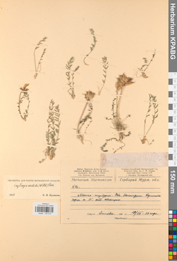 KPABG030216