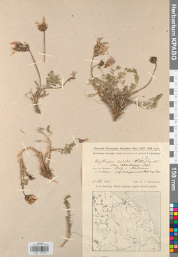 KPABG030219