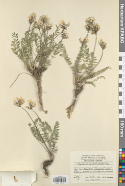 KPABG030255