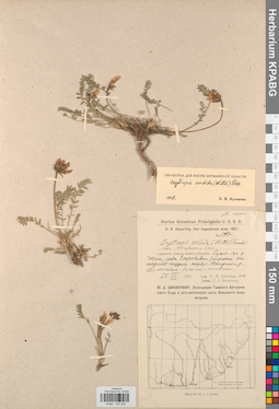 KPABG030262