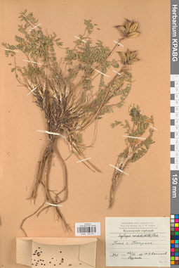 KPABG030274