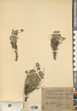 KPABG030277